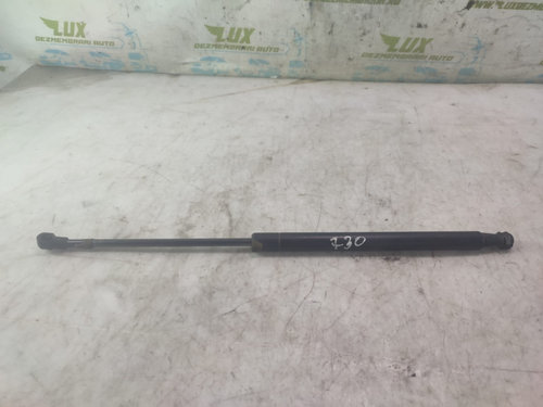 Amortizor portbagaj 51778432 Fiat Punto 3 [2005 - 2012] 1.3 D 199A9000