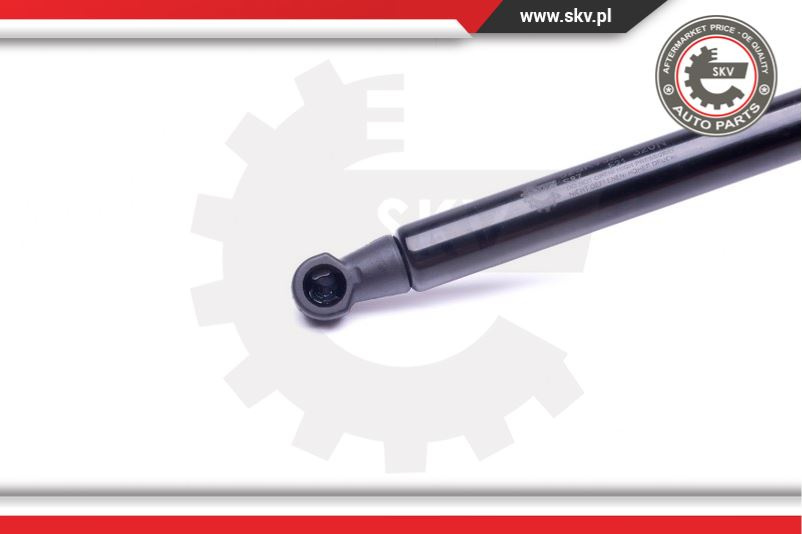 Amortizor portbagaj ; BMW 3 (E46) ; 51244212802