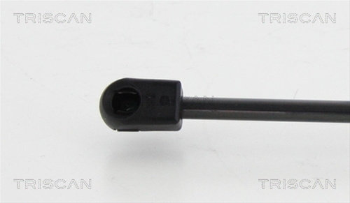 Amortizor Portbagaj Triscan Audi 8710 292009