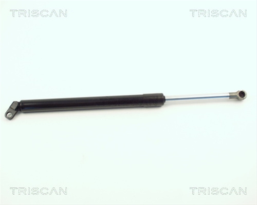 Amortizor Portbagaj Triscan Bmw 8710 11208