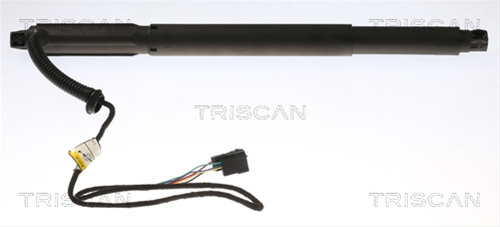 Amortizor Portbagaj Triscan Bmw 8710 11301