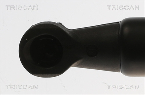 Amortizor Portbagaj Triscan Bmw 8710 69221