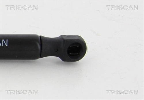 Amortizor Portbagaj Triscan Chevrolet 8710 21211