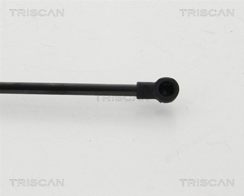Amortizor Portbagaj Triscan Chevrolet 8710 24254