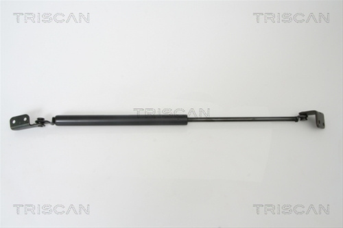 Amortizor Portbagaj Triscan Hyundai 8710 43221