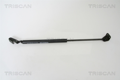 Amortizor Portbagaj Triscan Hyundai 8710 43222