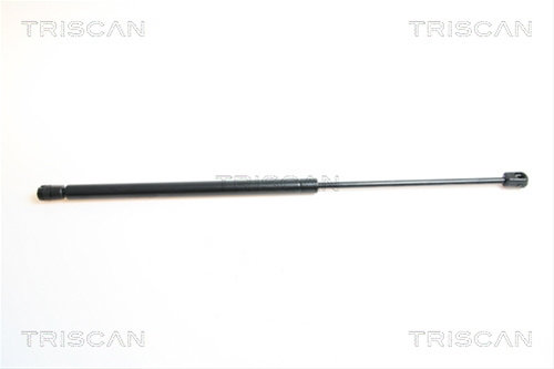Amortizor Portbagaj Triscan Mitsubishi 8710 42224