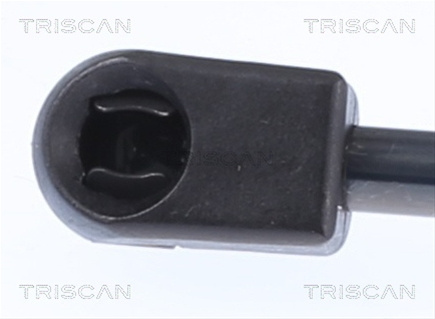 Amortizor Portbagaj Triscan Nissan 8710 14221