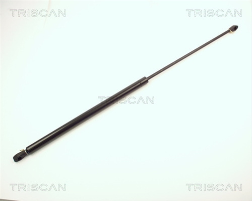 Amortizor Portbagaj Triscan Porsche 8710 2004