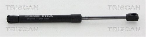 Amortizor Portbagaj Triscan Porsche 8710 20105