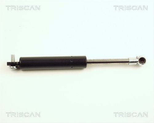 Amortizor Portbagaj Triscan Renault 8710 25212