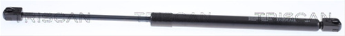 Amortizor Portbagaj Triscan Renault 8710 25242