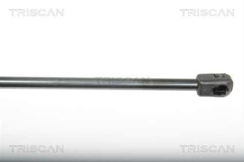 Amortizor Portbagaj Triscan Renault 8710 25243