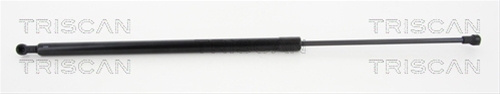 Amortizor Portbagaj Triscan Renault 8710 25256