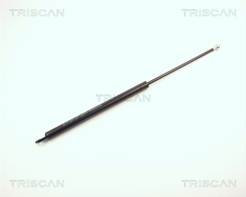 Amortizor Portbagaj Triscan Seat 8710 2912