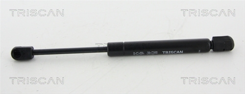 Amortizor Portbagaj Triscan Seat 8710 67206