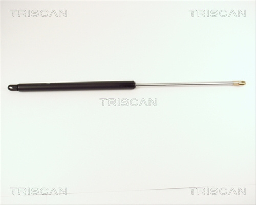 Amortizor Portbagaj Triscan Skoda 8710 2904