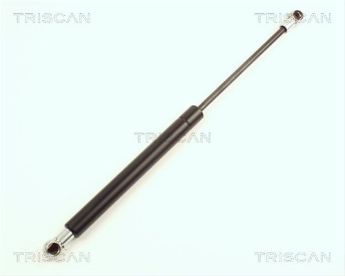Amortizor Portbagaj Triscan Smart 8710 23204