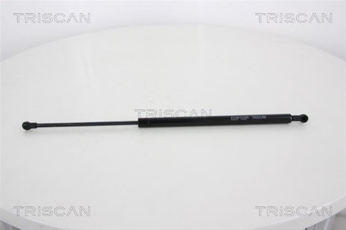 Amortizor Portbagaj Triscan Ssangyong 8710 28237