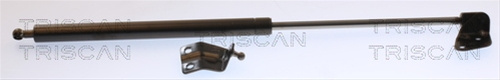 Amortizor Portbagaj Triscan Suzuki 8710 69216