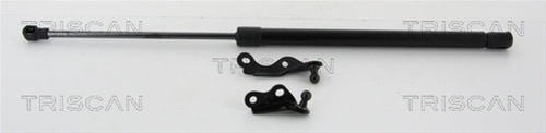 Amortizor Portbagaj Triscan Toyota 8710 13287