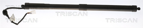 Amortizor Portbagaj Triscan Toyota 8710 13301
