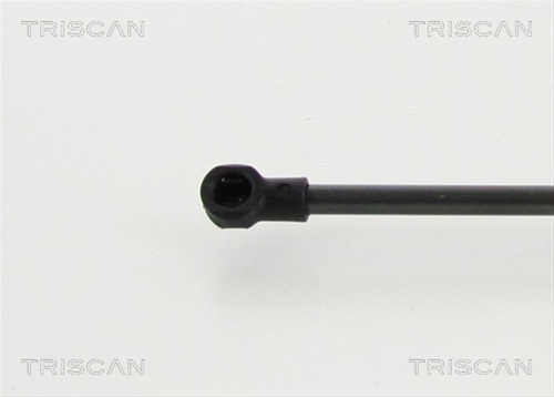 Amortizor Portbagaj Triscan Vw 8710 292015