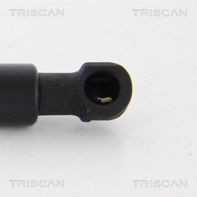 Amortizor Portbagaj Triscan Vw 8710 292018