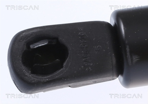 Amortizor Portbagaj Triscan Vw 8710 292065