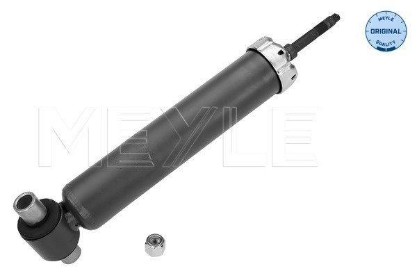 Amortizor punte fata (1266150002 MEYLE) VW