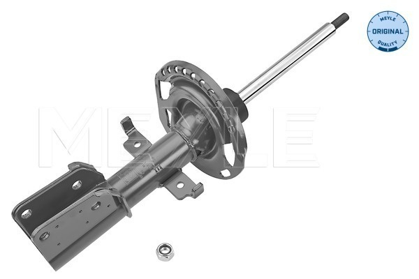 Amortizor punte fata (16266230022 MEYLE) RENAULT