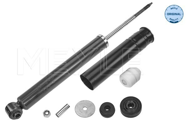 Amortizor puntea spate (0267250026 MEYLE) SMART