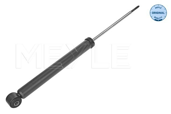 Amortizor puntea spate (16267250012 MEYLE) DACIA,RENAULT