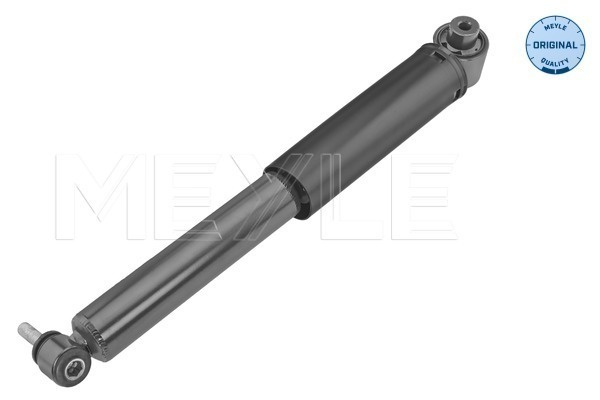 Amortizor puntea spate (16267250021 MEYLE) RENAULT