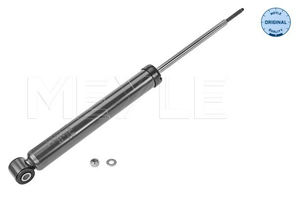 Amortizor puntea spate (16267250025 MEYLE) RENAULT