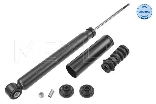 Amortizor puntea spate (16267250030 MEYLE) RENAULT