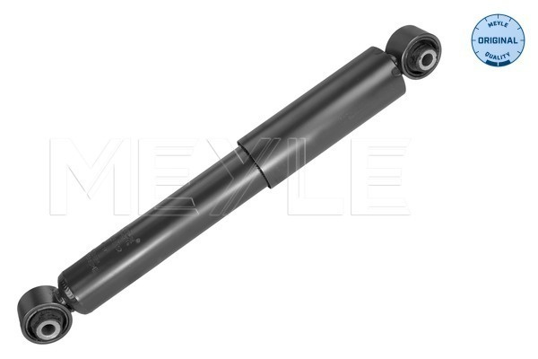 Amortizor puntea spate (30267250002 MEYLE) TOYOTA