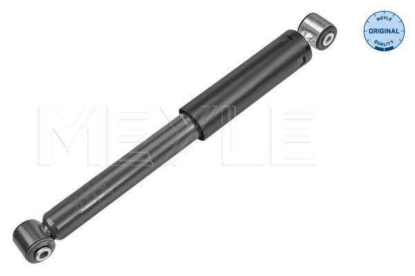 Amortizor puntea spate (40267250012 MEYLE) Citroen