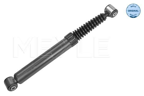 Amortizor puntea spate (40267250013 MEYLE) Citroen