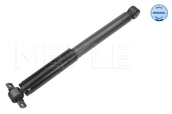Amortizor puntea spate (7267250004 MEYLE) FORD
