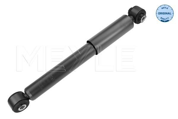 Amortizor puntea spate (7267250007 MEYLE) FORD