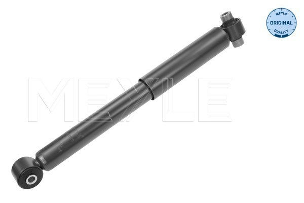 Amortizor puntea spate (7267250010 MEYLE) FORD