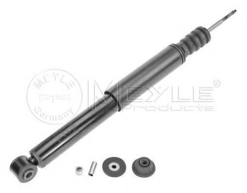 Amortizor RENAULT CLIO III (BR0/1, CR0/1) (2005 - 2012) MEYLE 16-26 725 0009 piesa NOUA