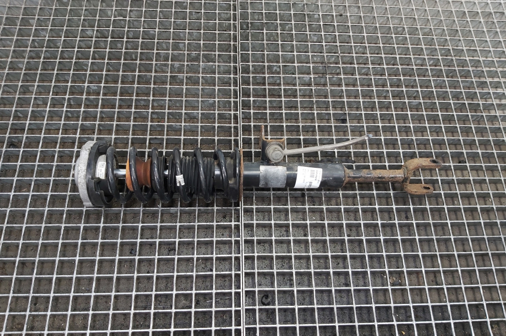 Amortizor spate, Bmw 5 (F10) 2.0 diesel, N47D20C (id:698374)