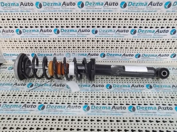 Amortizor spate Bmw 5