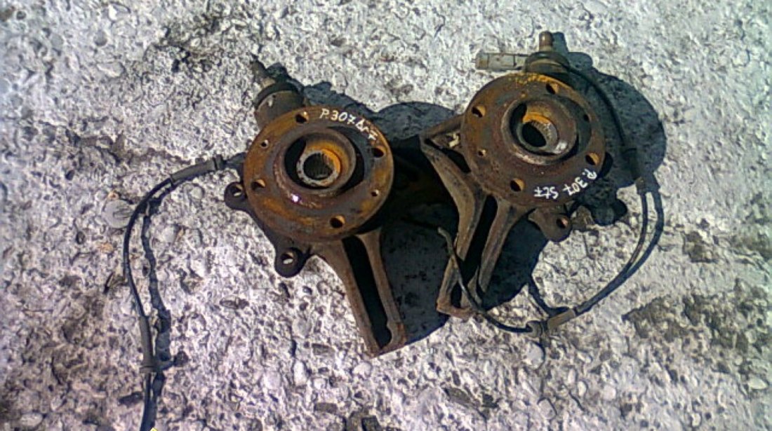 Amortizor spate Peugeot 307