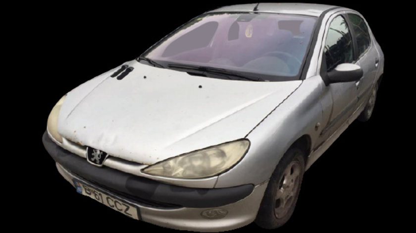 Amortizor spate stanga Peugeot 206 prima generatie [facelift] [2002 - 2009] Hatchback 3-usi 1.4 MT (75 hp)