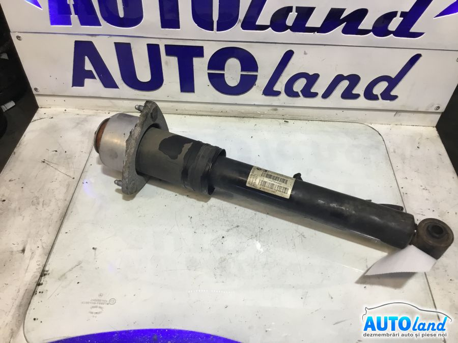 Amortizor Spate telescop 3.0 D BMW X5 E70 2007