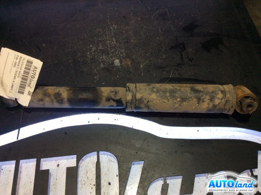 Amortizor Spate telescop Renault SCENIC II JM0/1 2003
