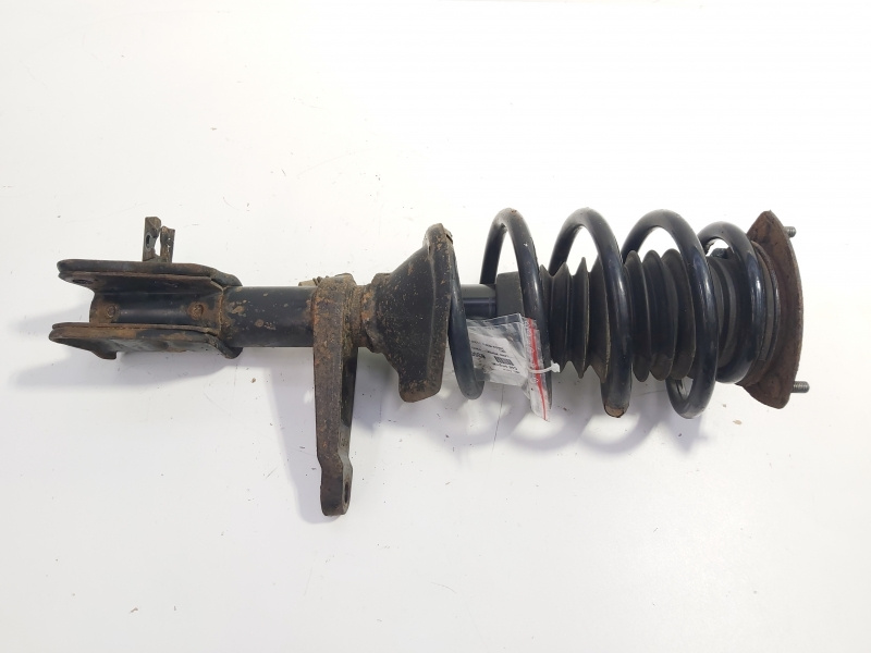 Amortizor stanga fata, Land Rover Freelander (LN) 2.0 diesel, 204D3 (id:635032)